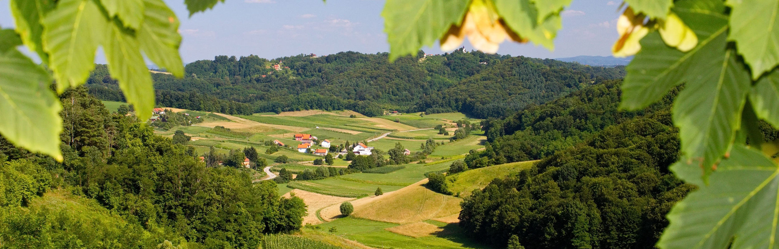 tischlerei_freissling_titelbild_oststeiermark tischlerei_freissling_titelbild_oststeiermark